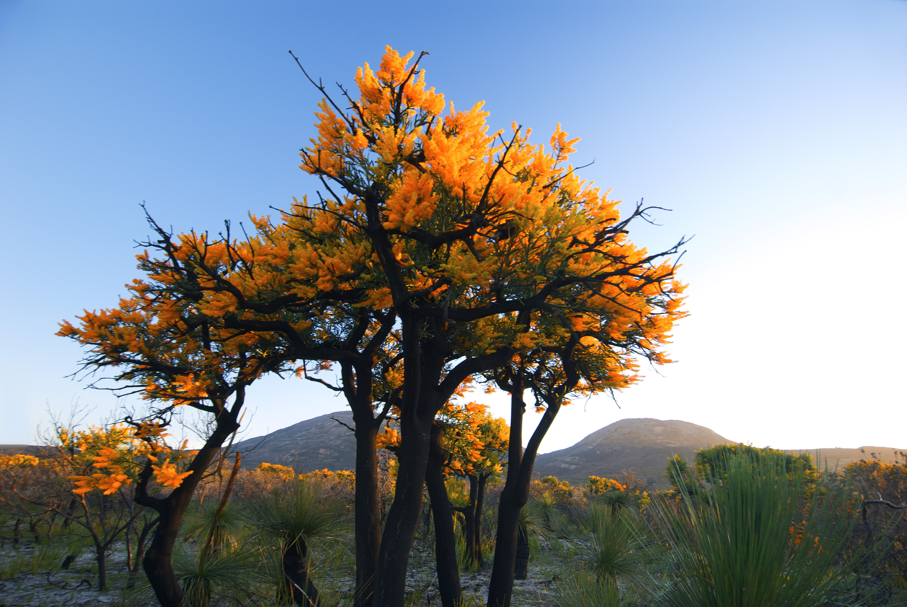 Cape le Grand National Park