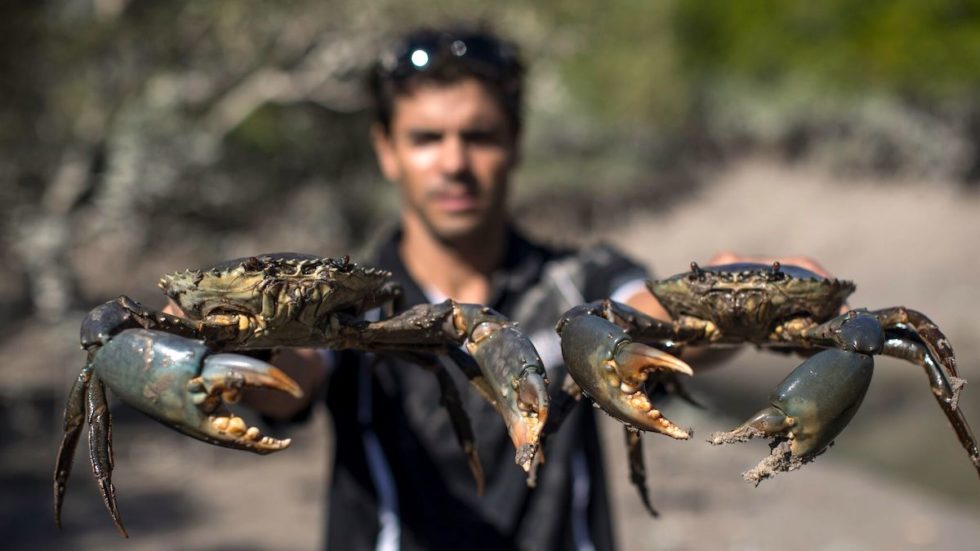 Narlijia Tours man holding crab