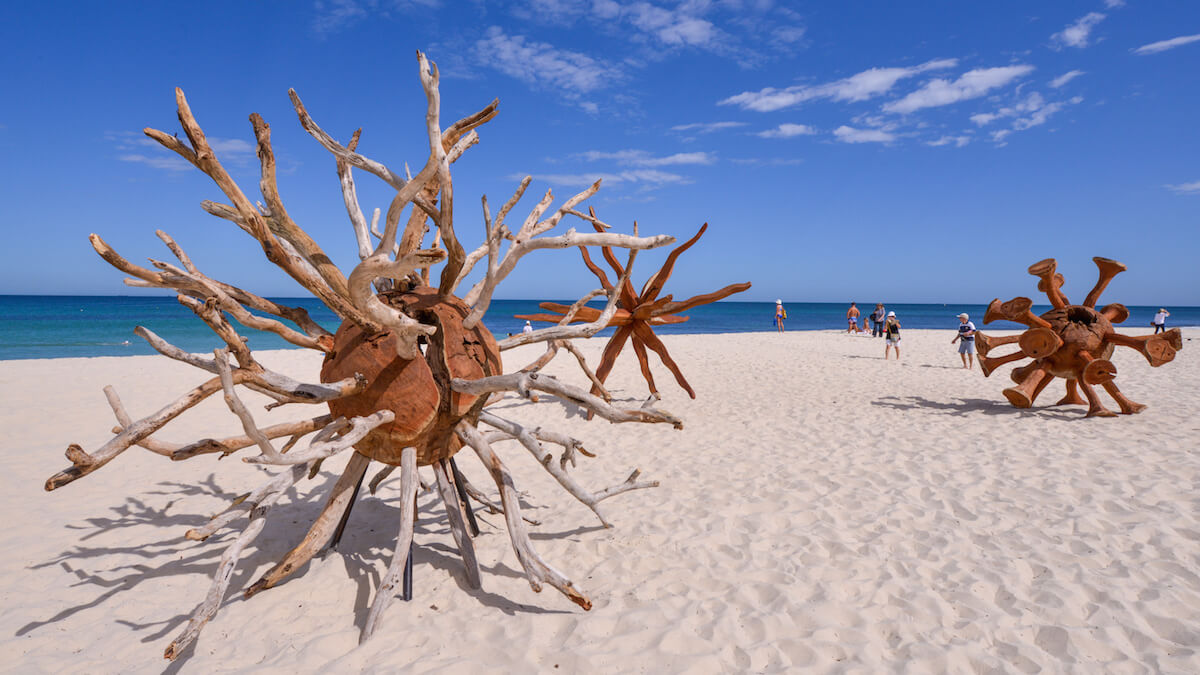 three wooden sculptures in the shape of viruses, made out of branches and other textured wood sit on the beach of white sand, with some people and the ocean and blue sky in the distance from Sculpture by the Sea 2020