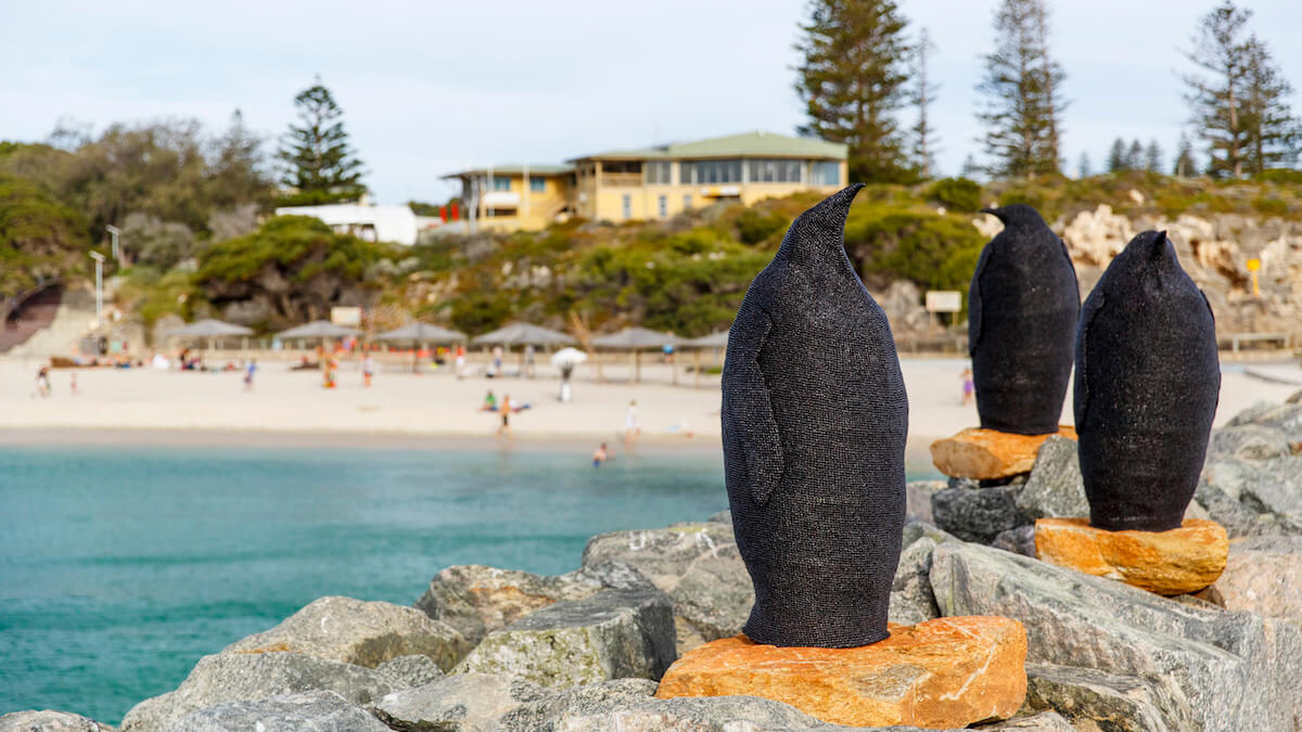 Three textured, monochrome black sculptures in the shape of emperor penguins sit on orange coloured rocks upon a beach groyne. The blue ocean can be seen in the distance, as well as white sand and beachgoers, with pine trees and a building in the background from Sculpture by the Sea 2020