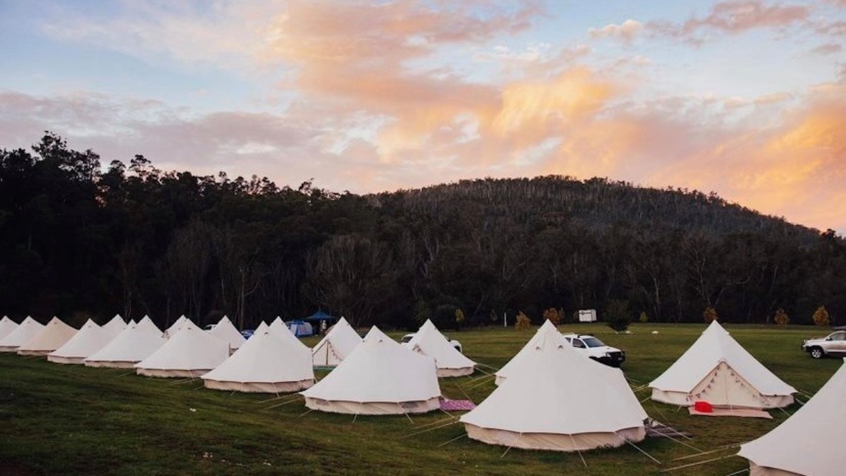 Kotara camping d art