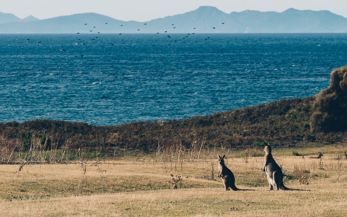 Kangaroo Island